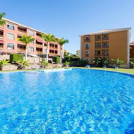 Live Mocan Palm Mar Apartment Playa de las Americas (Tenerife)
